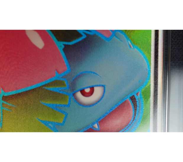 Premium Gallery Image
