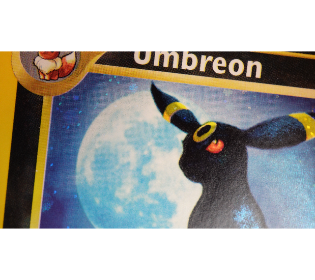 Premium Gallery Image