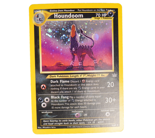 Premium Gallery Image